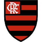 Flamengo drakt dame